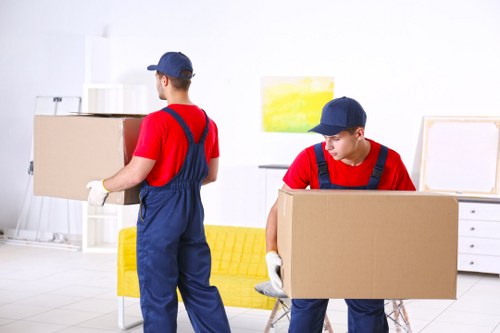 Professionals loading a van for removal in Croydon