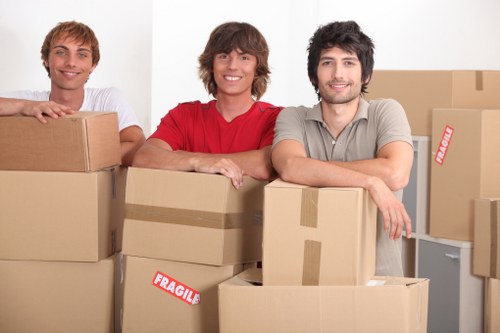 Eco-friendly man with van service in Croydon